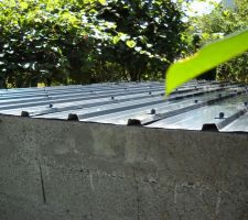 La toiture refaite &agrave; neuve de l abri