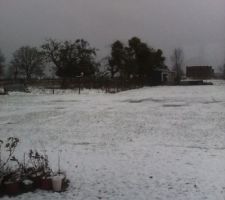 Sous la neige