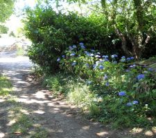 Chemin d'acces au terrain