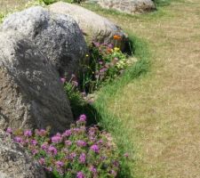 Un peu de floraison aussi devant les rochers pour gommer un peu le minéral...