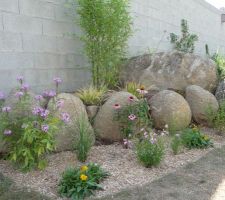 Un peu d'habillage pour ce pied de mur en parpaings si laid......vivement une bonne pousse des bambous et lierres.