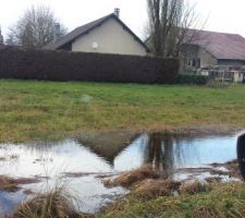 Voici la photo du terrain 
Ou on voit bien l'eau qui s'accumule