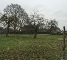 Terrain de 1600 m2