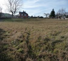 Vue sur le Sud du terrain