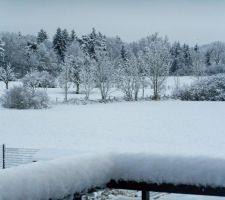 8 mars 2016 : une surprise au réveil !