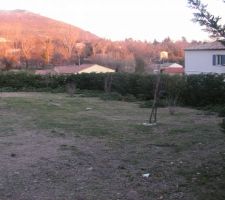 Apres debrouissaillage et taille de la haie ...