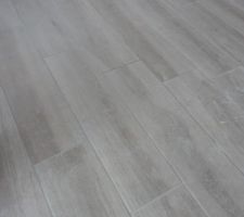 Carrelage imitant parquet du RDC