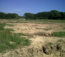 Terrain