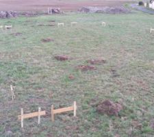 Debut fevrier, voici la pose de nos chaises avant de commencer a decaisser...