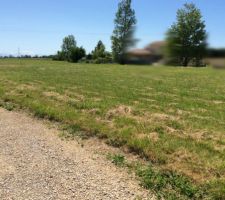 Vue d'ensemble du terrain