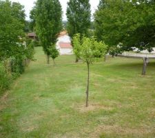 Vu d'en haut du terrain