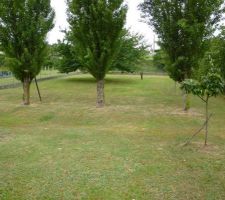 Vu d'en bas du terrain