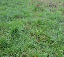 Limite Fa&ccedil;ade Nord vue E-O