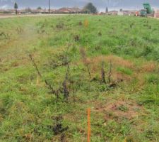 Limite Fa&ccedil;ade Nord vue O-E