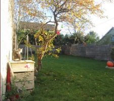 Le jardin d'automne, en novembre.