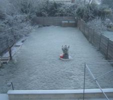 Le jardin d'hiver, neige du 21 janvier.