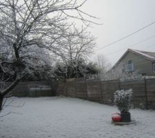 Le jardin d'hiver, neige du 21 janvier.
