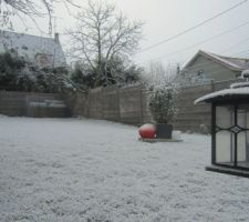Le jardin d'hiver, neige du 21 janvier.