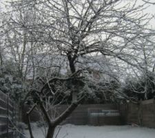 Le jardin d'hiver, neige du 21 janvier.