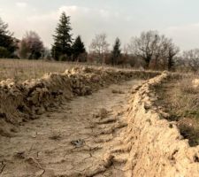 La terre vient d'&ecirc;tre &eacute;tal&eacute;