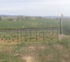 Vue en bordure de terrain. Ce qui nous &agrave; d&eacute;cid&eacute;. Inconstructible au moins pour 20 ans