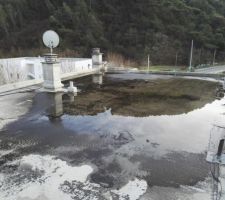 L'eau qui stagne sur la terrasse, il n'y a plus de pente...
On voit les deux évacuations coté droit.