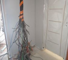 Tous les cables qui descendent dans le cellier