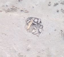 Est ce grave docteur ?? Trou au niveau de la dalle rdc.