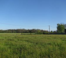Photo de notre futur terrain