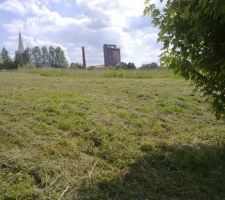 D&eacute;broussaillage 1