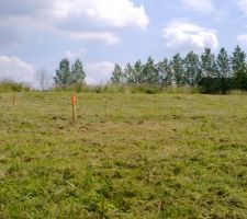 D&eacute;broussaillage 3