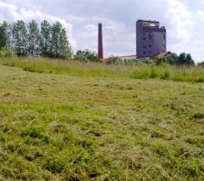 D&eacute;broussaillage 2