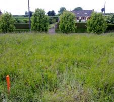 Implantation de la maison 1