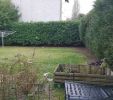 Notre terrain vu de l'interieur. on va retirer toutes les haies car ca prend &eacute;norm&eacute;ment de place.