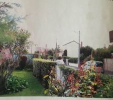 Le terrain avant la destruction