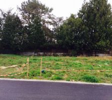 Voici le terrain plat qui accueillera d'autres maison