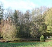 Il va falloir commencer à aménager tout cela au printemps. Remise à niveau, cailloux, pelouse, haies...