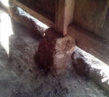 J'h&eacute;site &agrave; garder les socle beton existant ou &eacute;tayer et reposer le tout sur les future fondations...