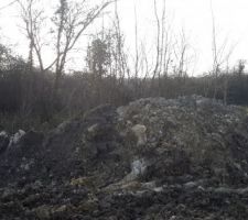 Notre futur jardin ?