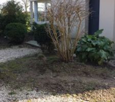 Parterre devant la maison avant r&eacute;am&eacute;nagement