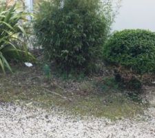 Parterre devant la maison avant r&eacute;am&eacute;nagement