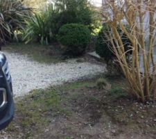 Parterre devant maison avant r&eacute;am&eacute;nagement