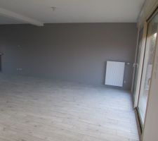 Salon séjour avec cuisine ouverte. Mur en peinture gris clair, finitions avec plinthes en bois peintes aux couleurs des murs
