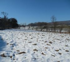 Une des premi&egrave;res photo 
Janvier 2015