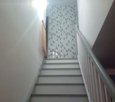 Escalier   couloir du 1 er