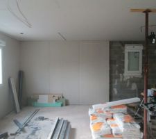 Isolation des murs