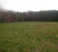 L&eacute;ger d&eacute;nivel&eacute; et une bande de 4m reste libre avant la haie pour l'entretien de celle ci