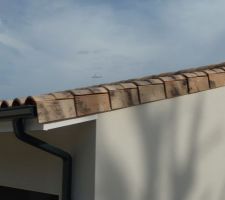 Tuiles réajustées