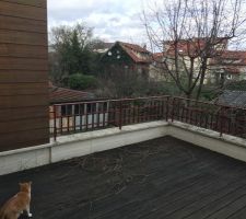 Vue de la terrasse 2