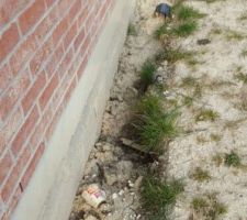 Difficile de demander à ce que la société débarrasse le chantier. Ça ne les interresses pas! C pas grave, votre asainisseur le fera! Vous trouvez ça normal? Détritus,  alcool, boîtes de conserve etc....